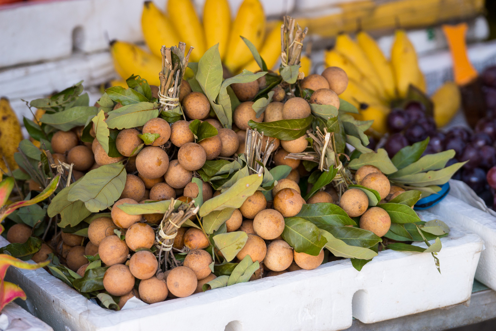 20141117 120655 Hoi An